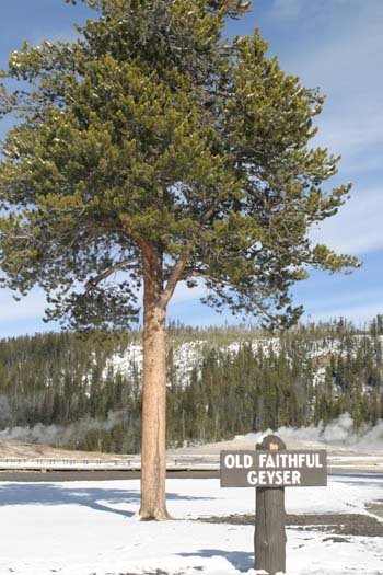 USA WY YellowstoneNP 2004NOV01 OldFaithful 008